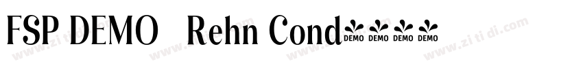 FSP DEMO   Rehn Cond字体转换